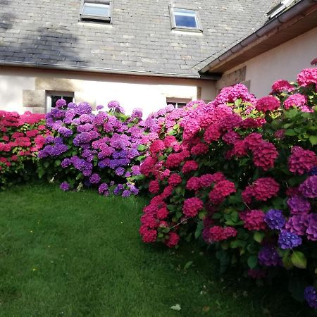 Le Tregonnec, Pres De Morlaix, Roscoff Bed & Breakfast Plouvorn Ngoại thất bức ảnh