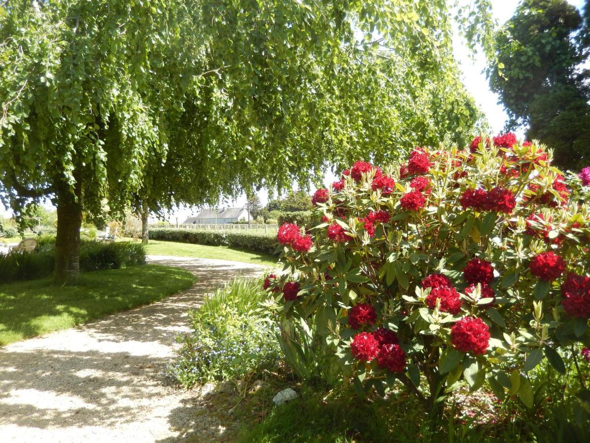 Le Tregonnec, Pres De Morlaix, Roscoff Bed & Breakfast Plouvorn Ngoại thất bức ảnh