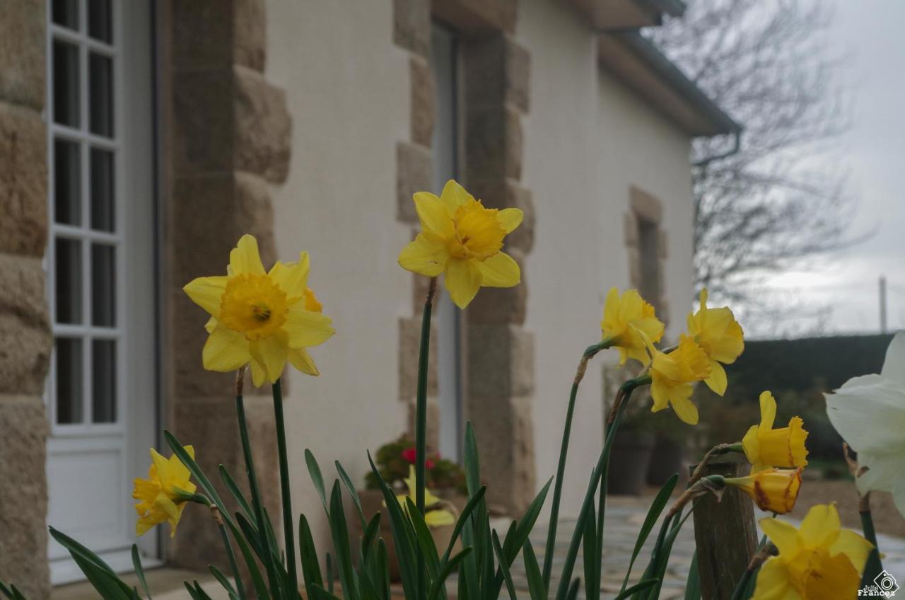 Le Tregonnec, Pres De Morlaix, Roscoff Bed & Breakfast Plouvorn Ngoại thất bức ảnh