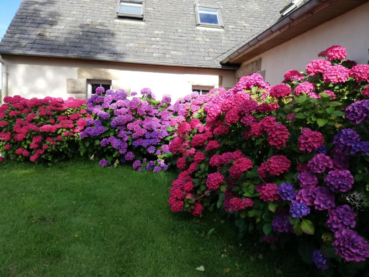 Le Tregonnec, Pres De Morlaix, Roscoff Bed & Breakfast Plouvorn Ngoại thất bức ảnh