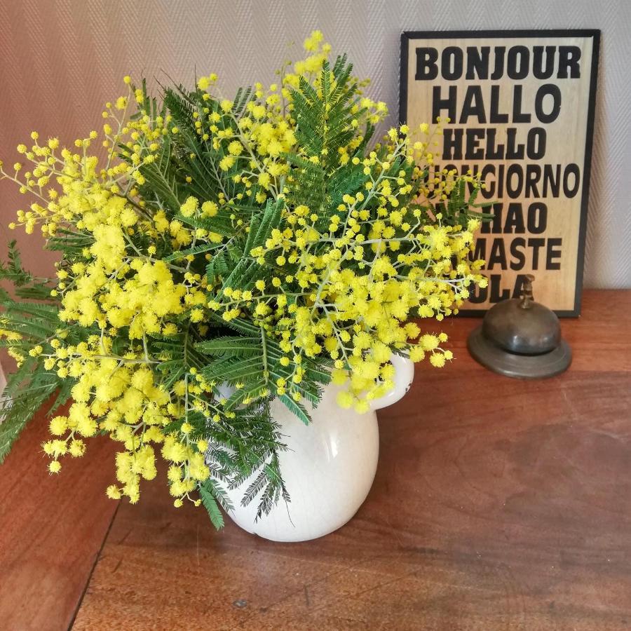 Le Tregonnec, Pres De Morlaix, Roscoff Bed & Breakfast Plouvorn Ngoại thất bức ảnh